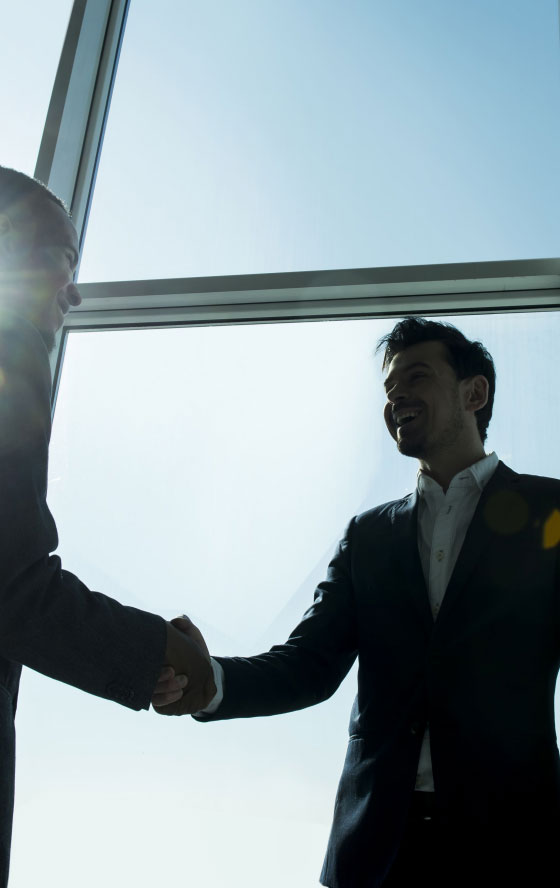 Alianza estratégica